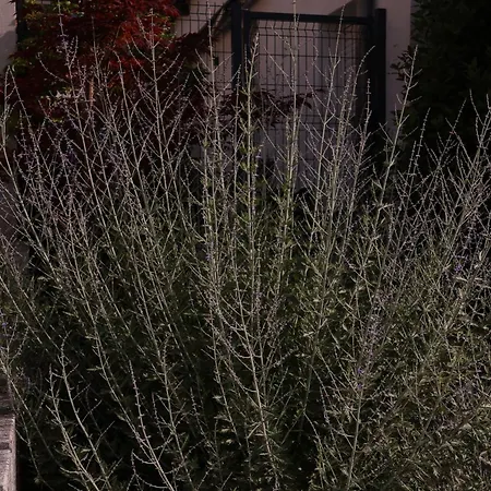 Chez Marie فندق مبيت وإفطار
