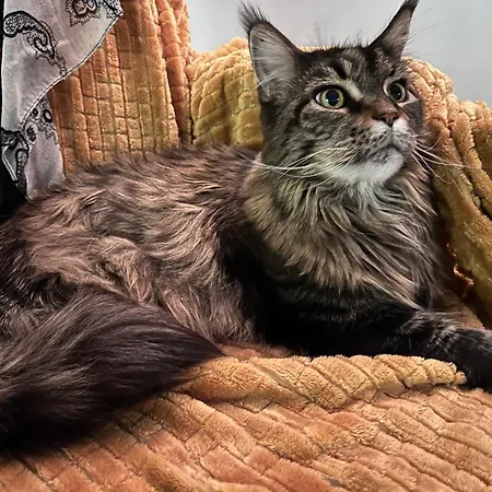 ベッド・アンド・ブレックファスト Chez Marie